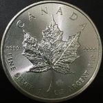 Silver maple leaf coin 2015 obverse.JPG