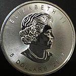 Silver maple leaf coin 2015 reverse.JPG