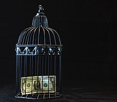 Black Steel Pet Cage With One Dollar (43114564870).jpg